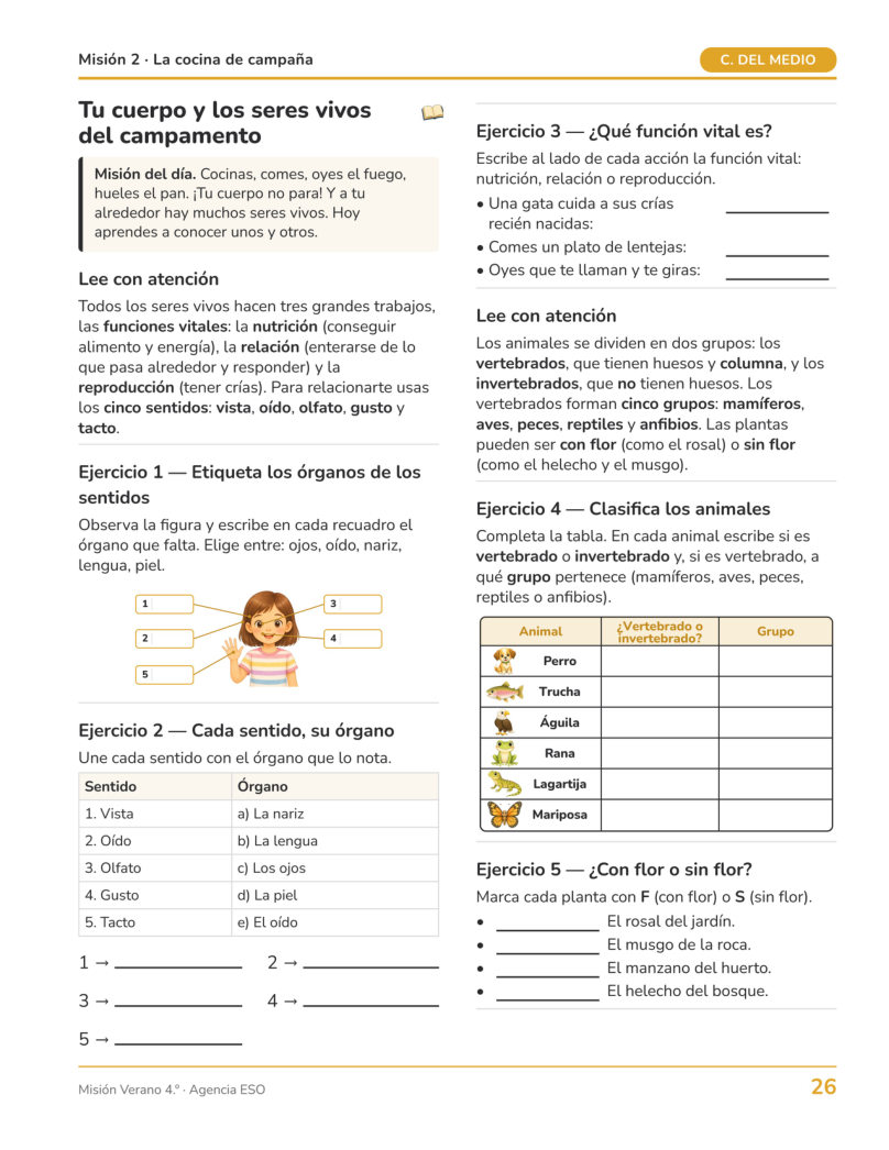 Página 27 del libro: Conocimiento del medio