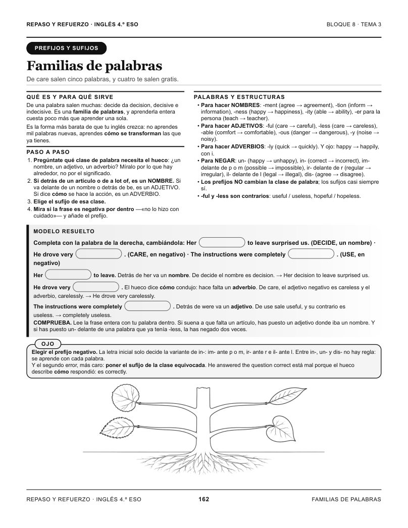 Página 162 del libro: Actividad del libro