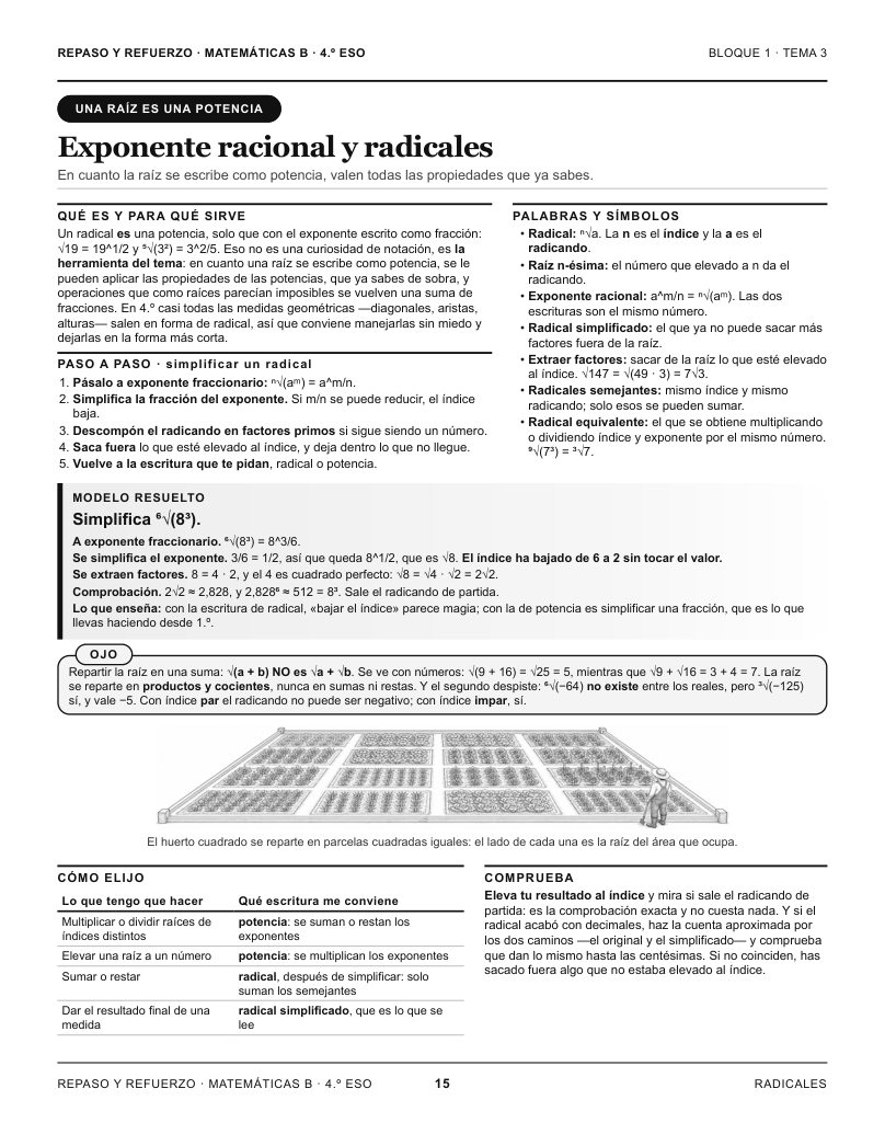 Actividad del libro