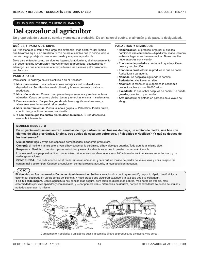 Página 55 del libro: Actividad del libro