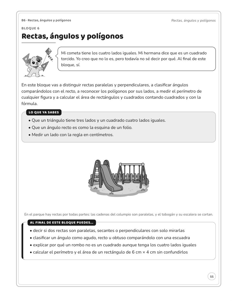 Página 55 del libro: Actividad del libro
