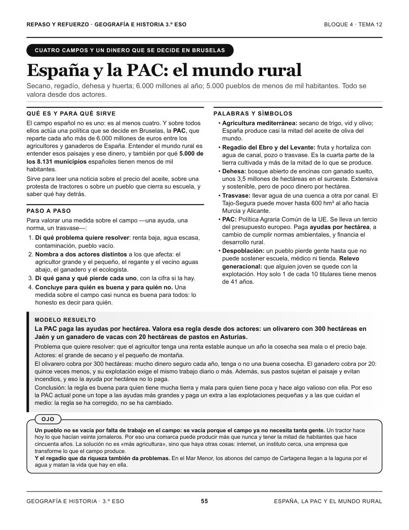 Página 55 del libro: Actividad del libro