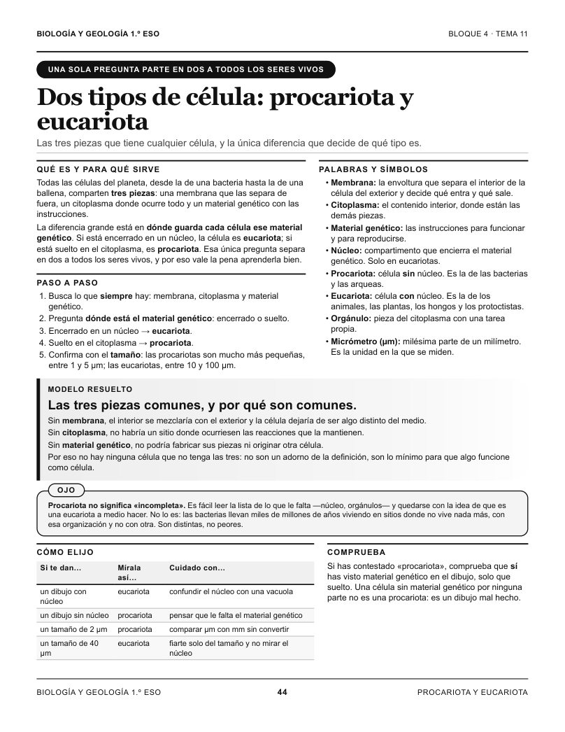Página 44 del libro: Actividad del libro