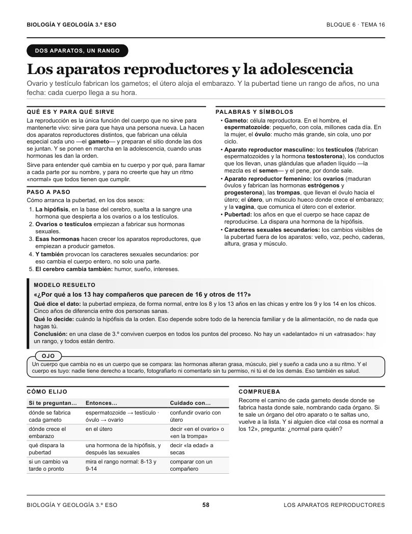 Página 58 del libro: Actividad del libro