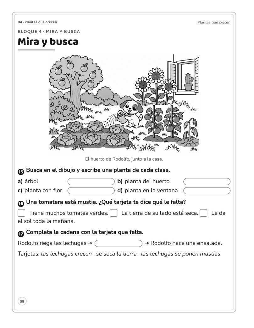 Página 38 del libro: Actividad del libro