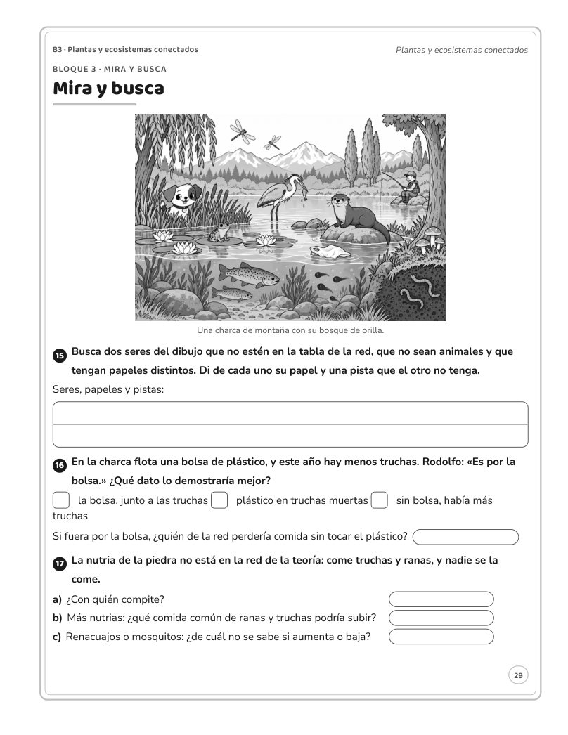 Página 29 del libro: Actividad del libro