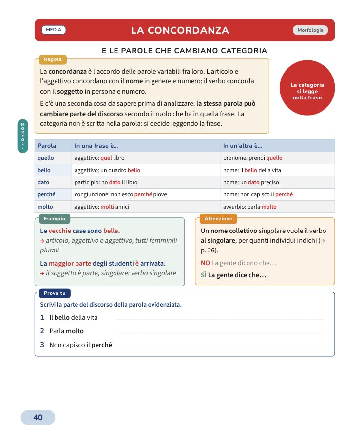 Pagina 40 del libro: La concordanza