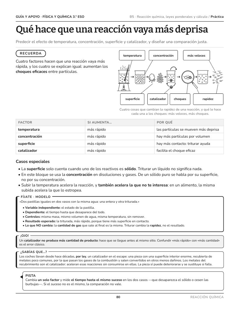 Página 80 del libro: Actividad del libro