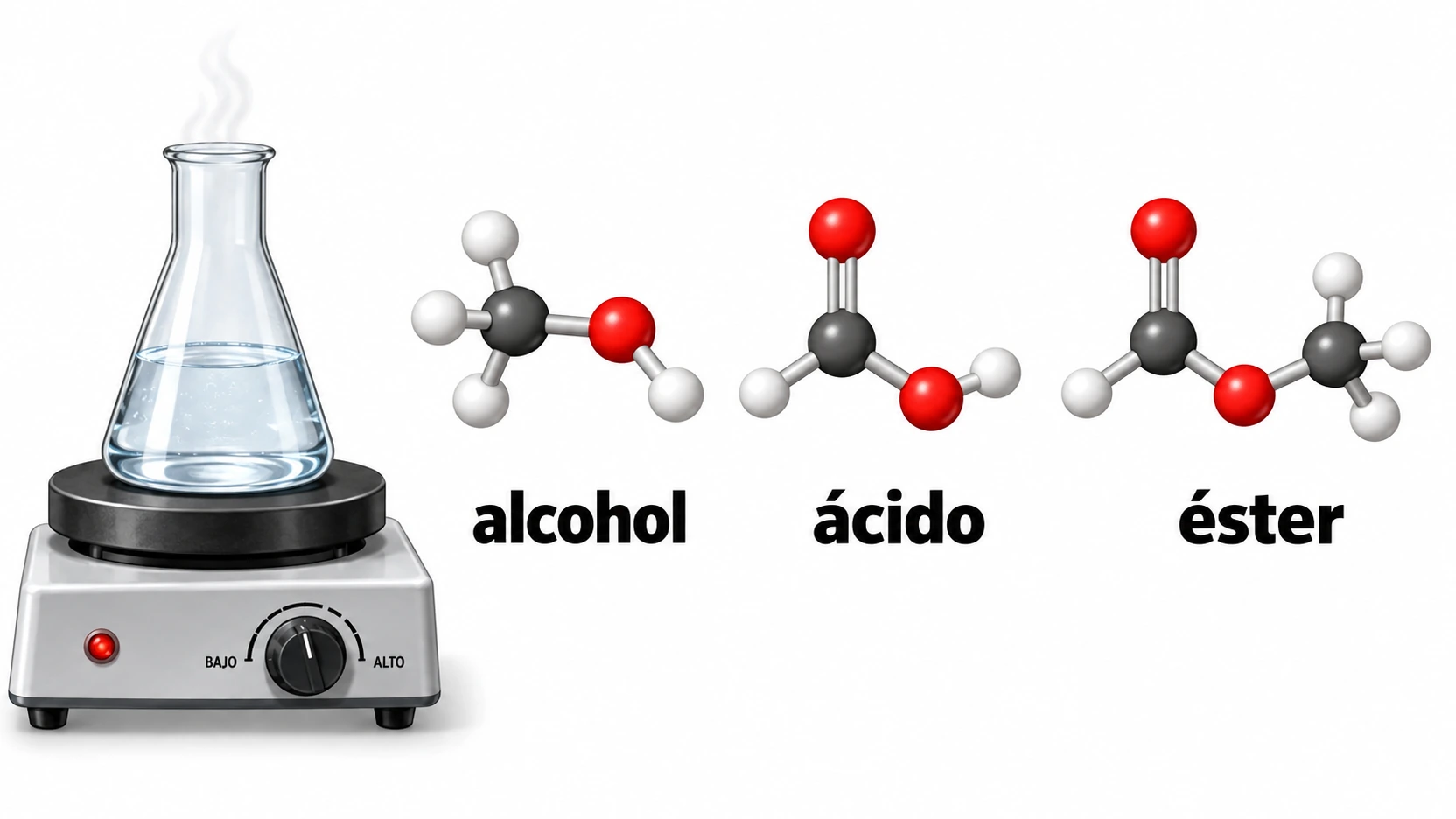Un matraz sobre una placa caliente junto a modelos moleculares identificados como alcohol, ácido y éster.