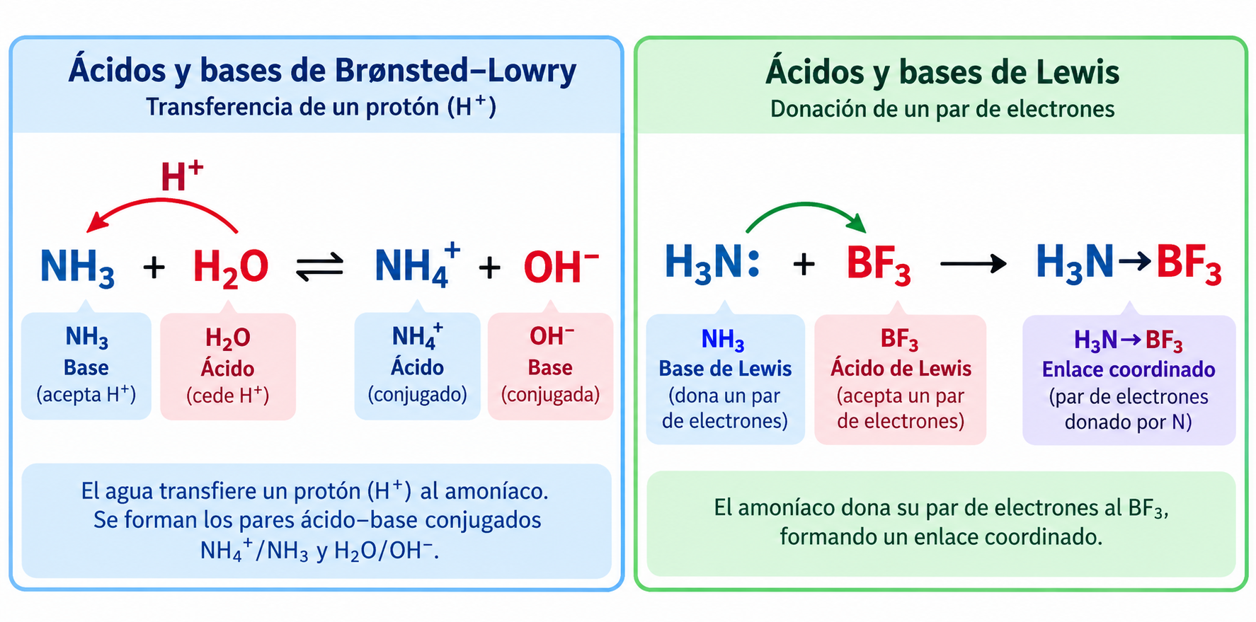 Dos interacciones distintas: un protón pasa de agua a NH₃; un par de electrones de NH₃ se dirige a BF₃ en una interacción sin transferencia de hidrógeno.