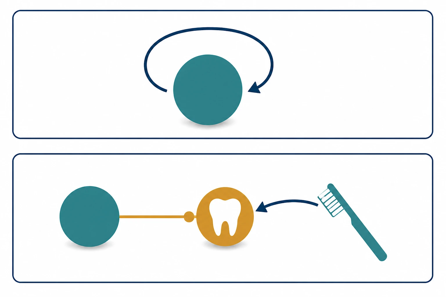 A mirror and two trays separate actions on the whole person from actions on a body part.