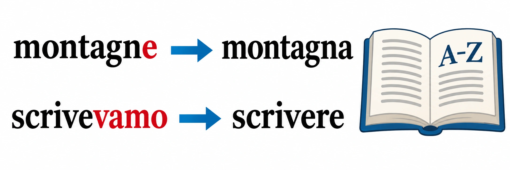 Le forme «montagne» e «scrivevamo» conducono con frecce ai lemmi «montagna» e «scrivere», accanto a un dizionario aperto.