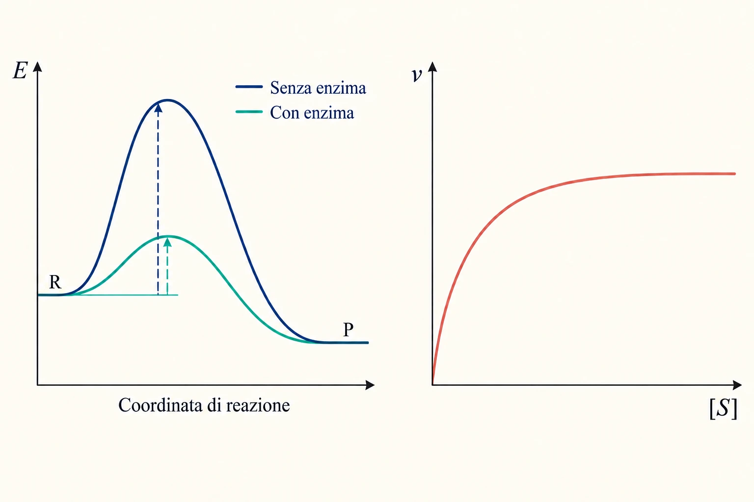 Due profili energetici con stessi estremi e barriere diverse; curva di saturazione separata.