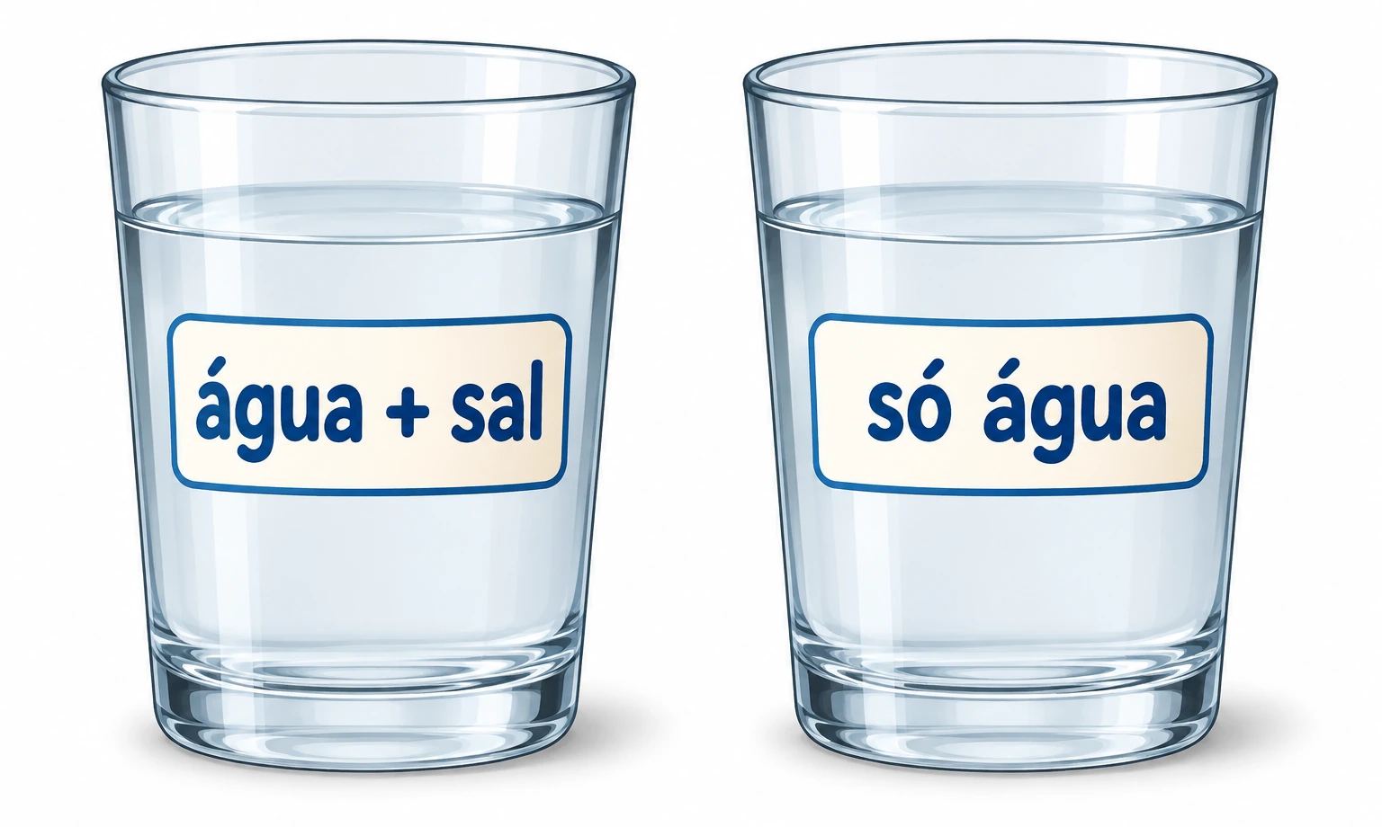 Dois copos transparentes: um rotulado água + sal e outro só água.
