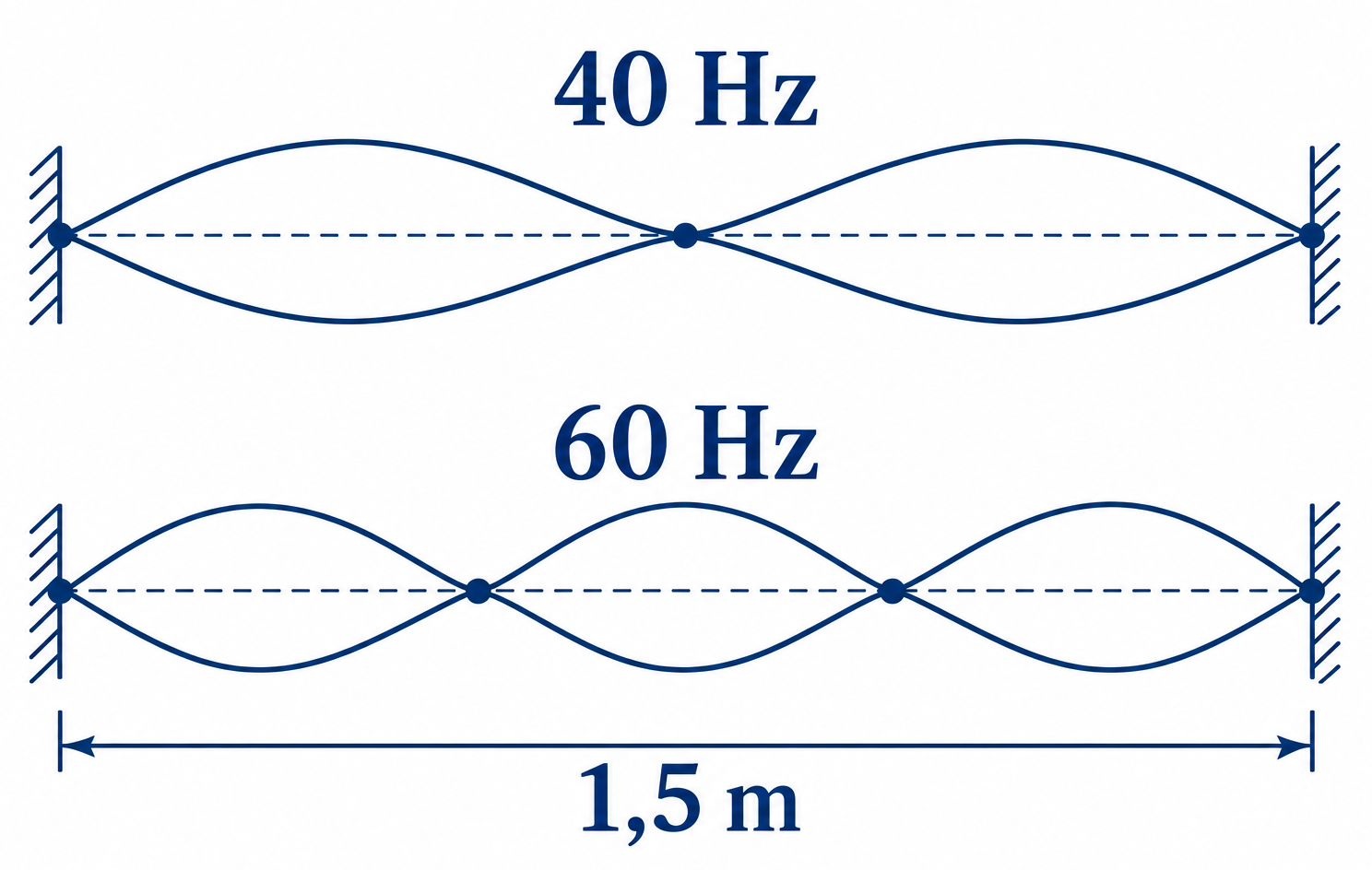 Due corde di 1,5 m con estremi fissi mostrano due ventri e tre nodi a 40 Hz, e tre ventri e quattro nodi a 60 Hz.
