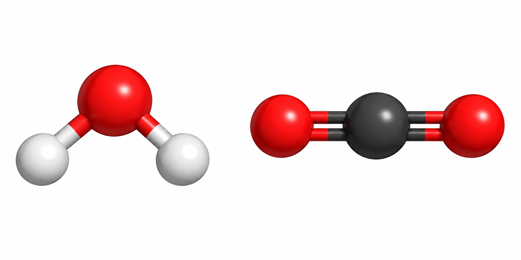 Dois modelos moleculares: água com forma angular e dióxido de carbono com átomos alinhados.